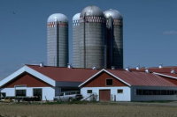 Madelia Insurance Center providing farm, crop and damage insurance.